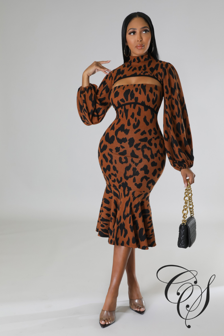 Calista Leopard Print Knit Dress Set