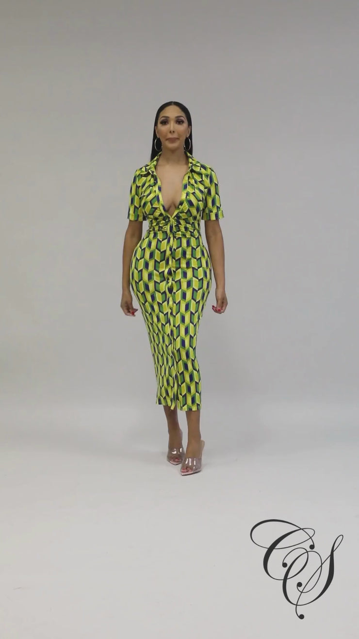 Alysia Geometric Print Dress