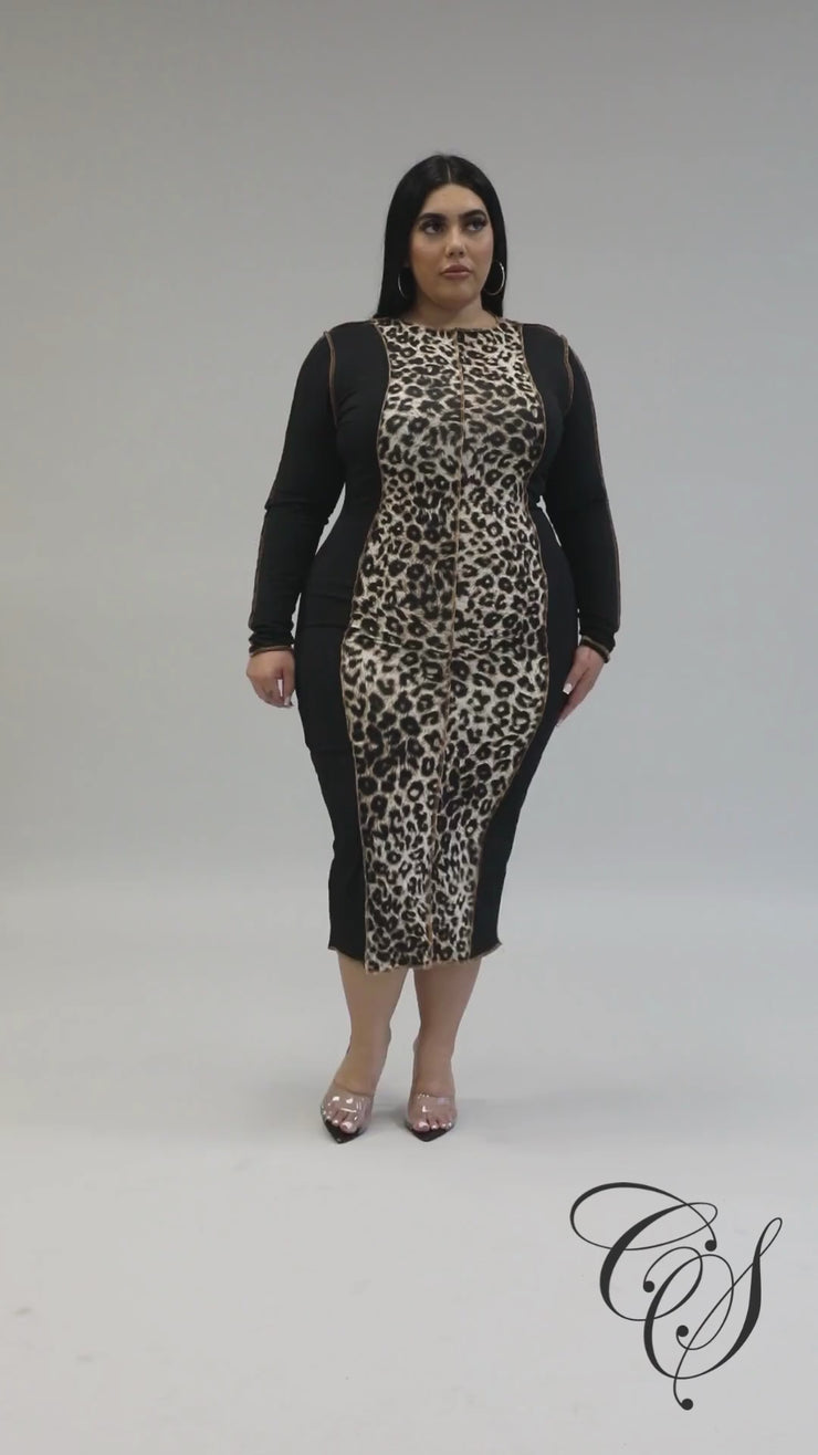 Lonia Contrast Leopard Print Long Sleeve Midaxi Dress