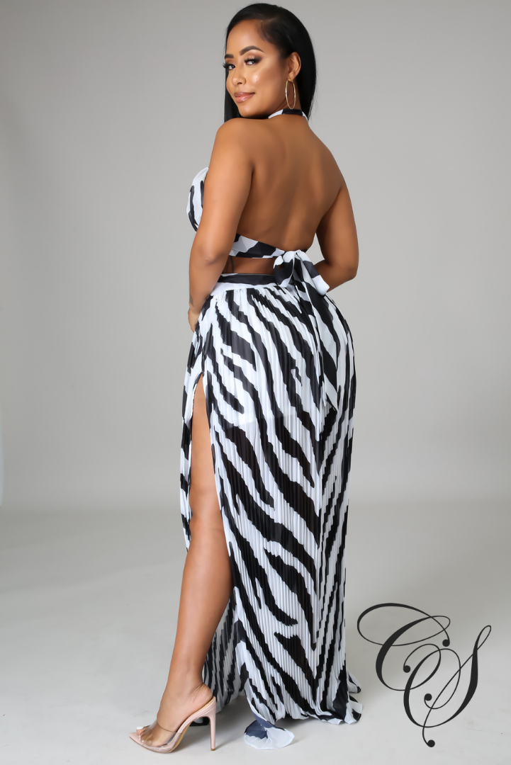 Ailani Zebra Print Maxi Dress