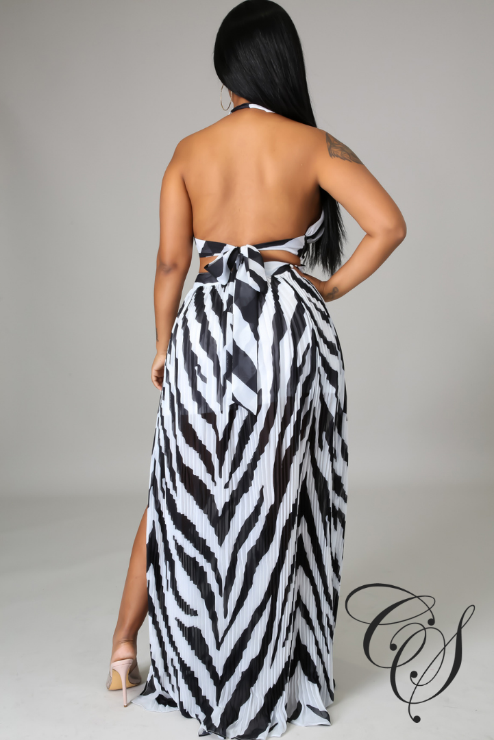 Ailani Zebra Print Maxi Dress