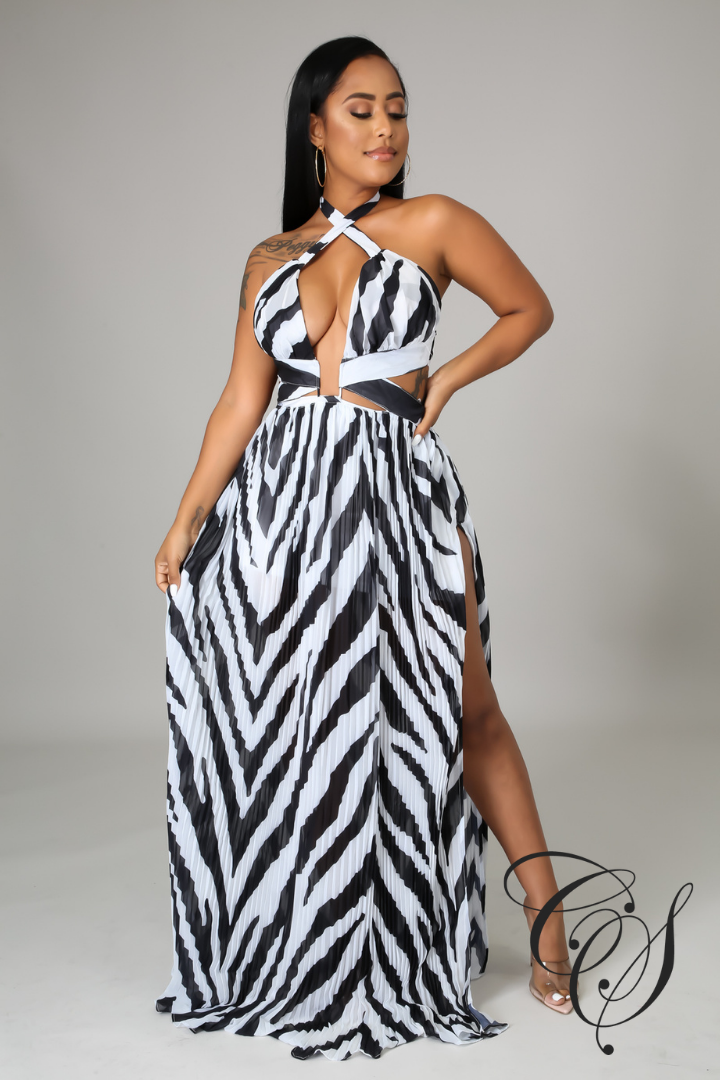 Ailani Zebra Print Maxi Dress