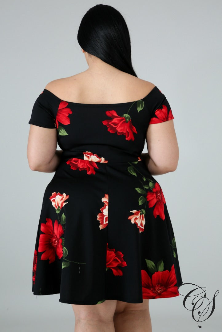 Alejandra Floral Fun Flare Dress, Dresses - Designs By Cece Symoné