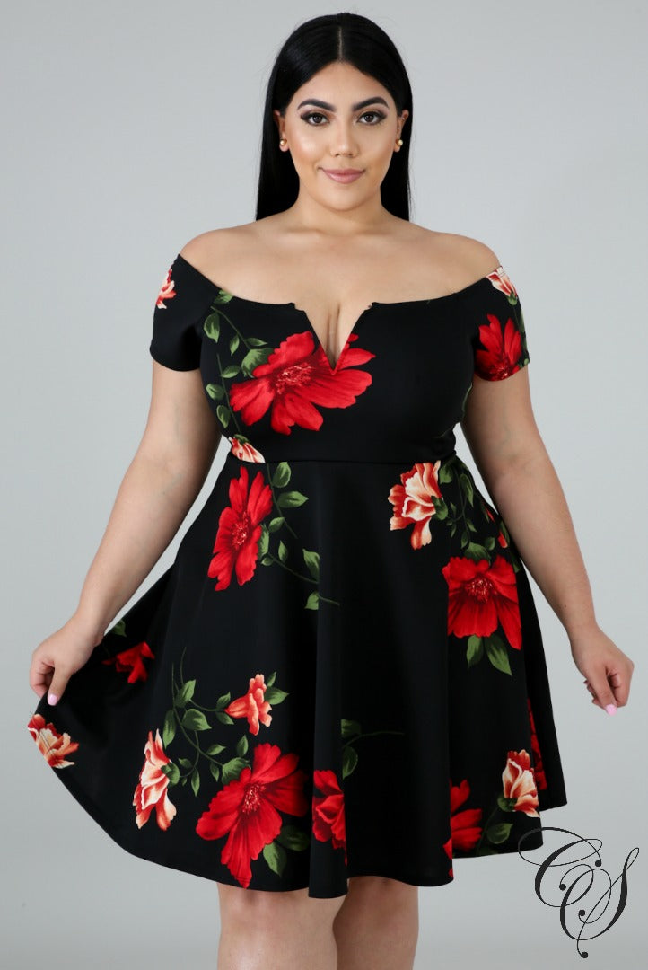 Alejandra Floral Fun Flare Dress, Dresses - Designs By Cece Symoné