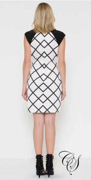 Amanda Black and White Windowpane Checker Sheath Dress, Dresses - Designs By Cece Symoné