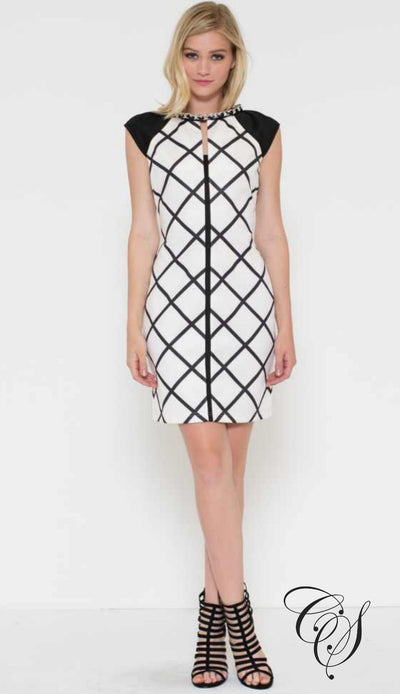 Amanda Black and White Windowpane Checker Sheath Dress, Dresses - Designs By Cece Symoné
