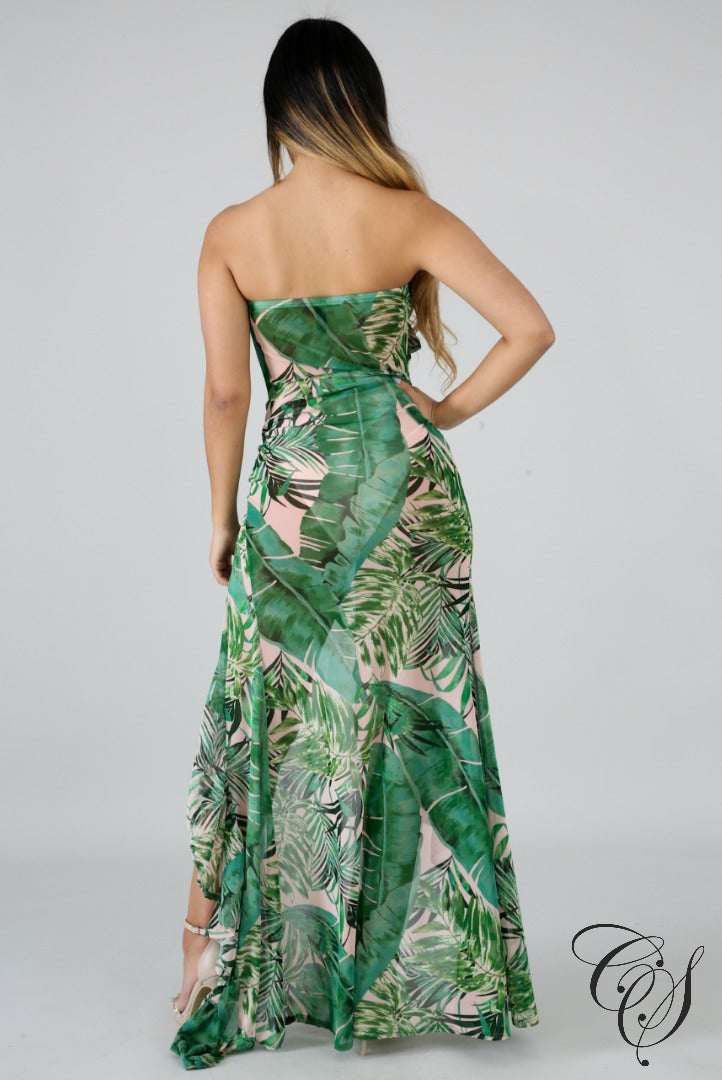 Averie Sheer Palms Maxi Dress, Dresses - Designs By Cece Symoné