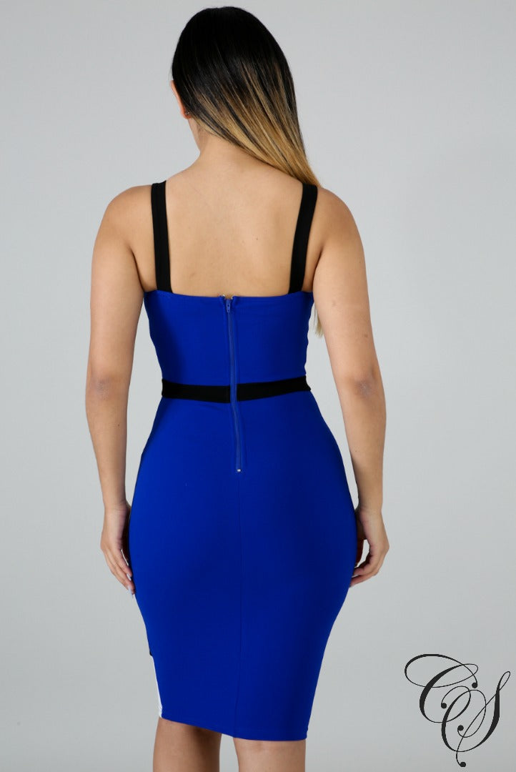 Brielle Bodycon Dress, Dresses - Designs By Cece Symoné