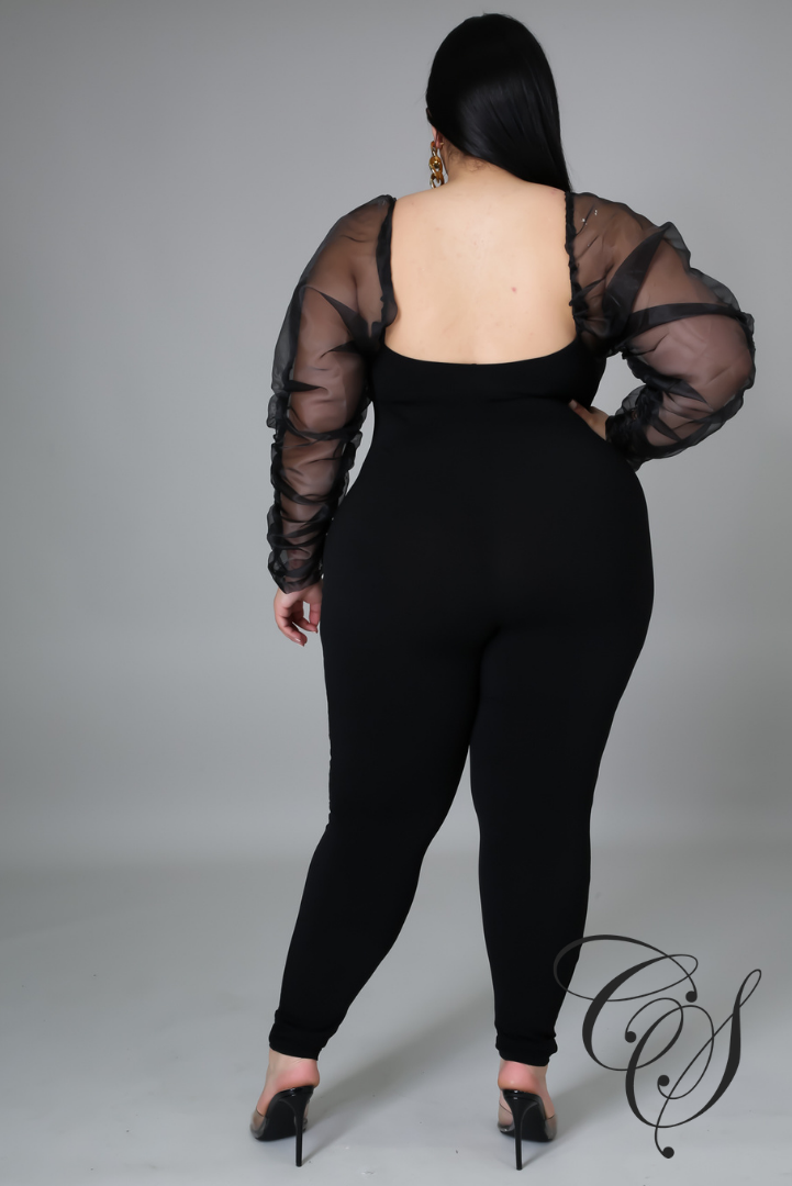 Bryanna Organza Long Sleeve Jumpsuit