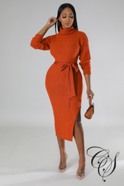Cantrice Turtle Neck Split Knit Midi Dress