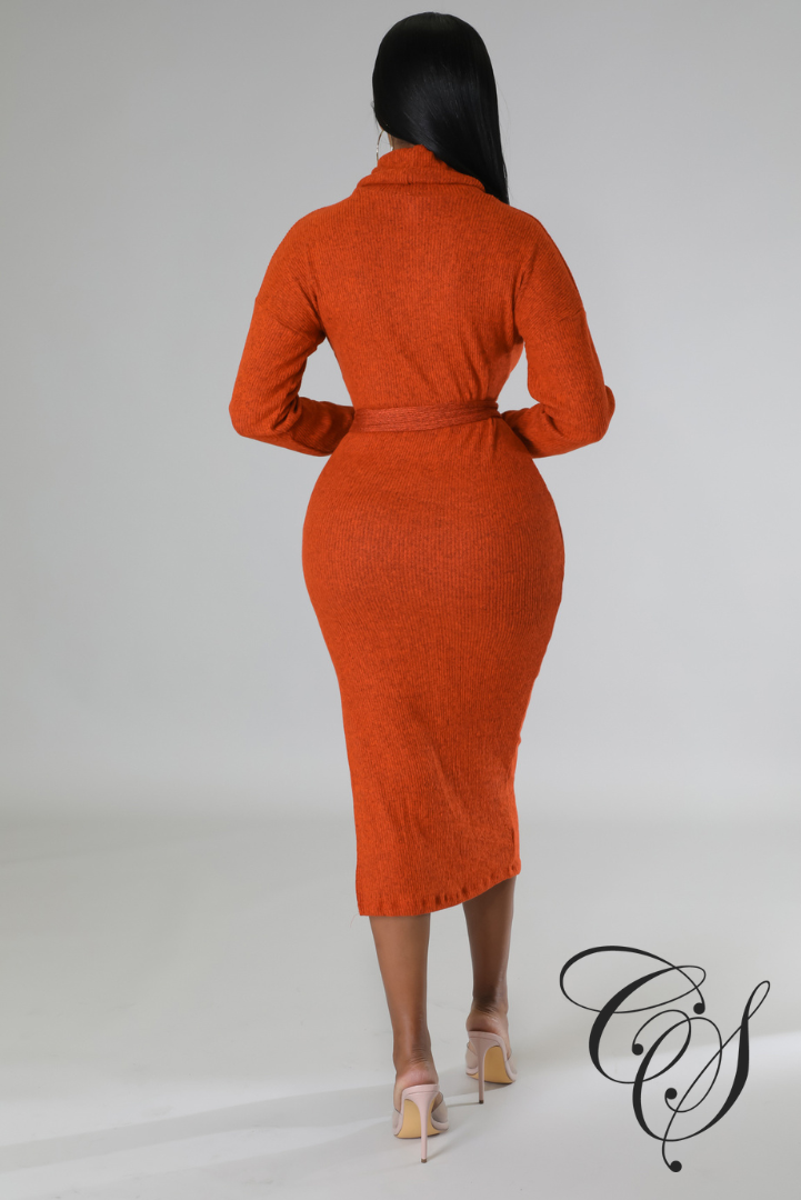 Cantrice Turtle Neck Split Knit Midi Dress