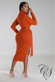 Cantrice Turtle Neck Split Knit Midi Dress