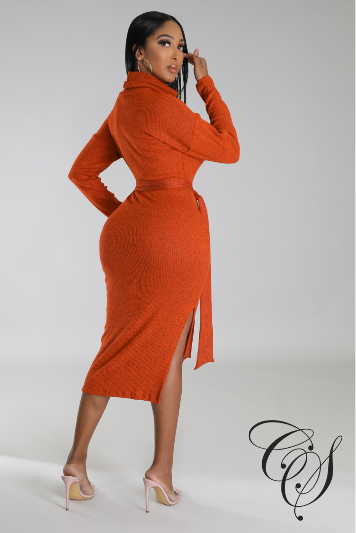 Cantrice Turtle Neck Split Knit Midi Dress