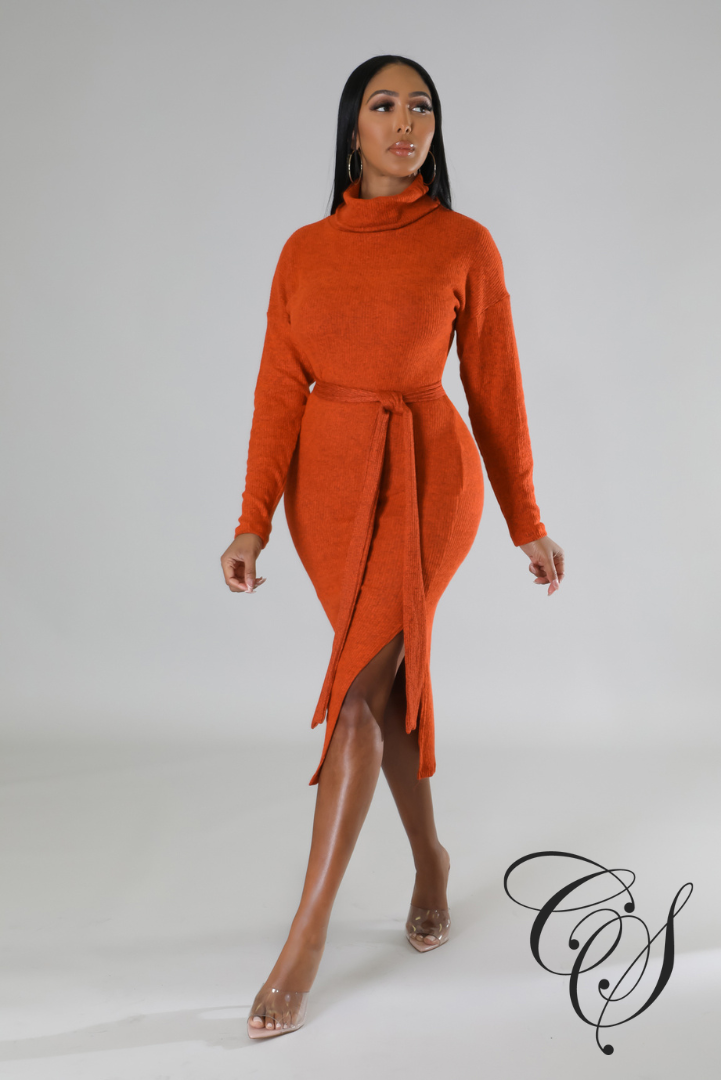 Cantrice Turtle Neck Split Knit Midi Dress