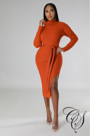 Cantrice Turtle Neck Split Knit Midi Dress