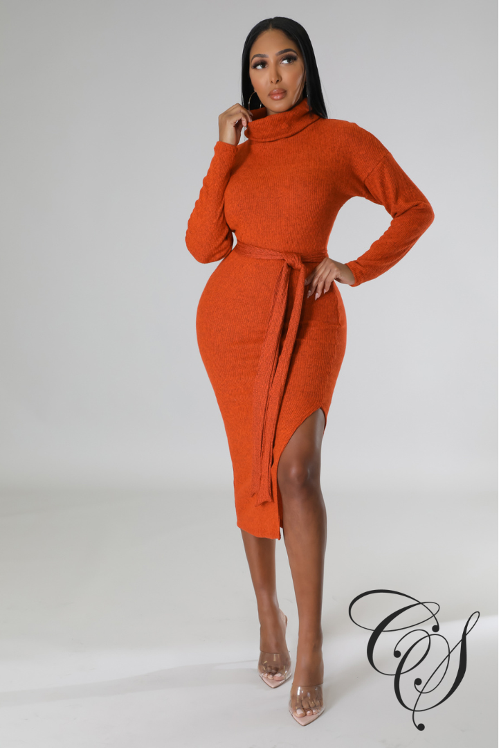Cantrice Turtle Neck Split Knit Midi Dress