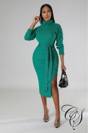 Cantrice Turtle Neck Split Knit Midi Dress