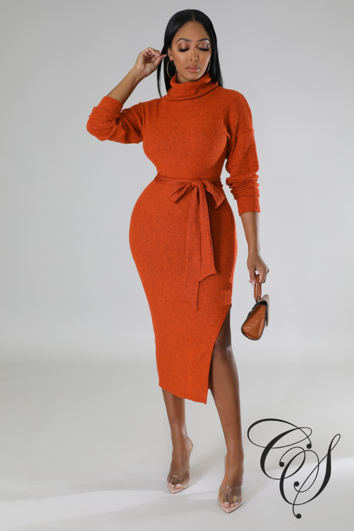 Cantrice Turtle Neck Split Knit Midi Dress
