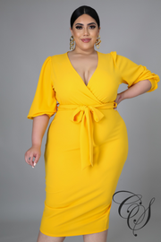 Christal Midi Sleeve Dress