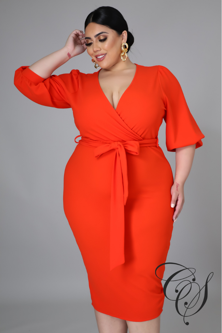 Christal Midi Sleeve Dress