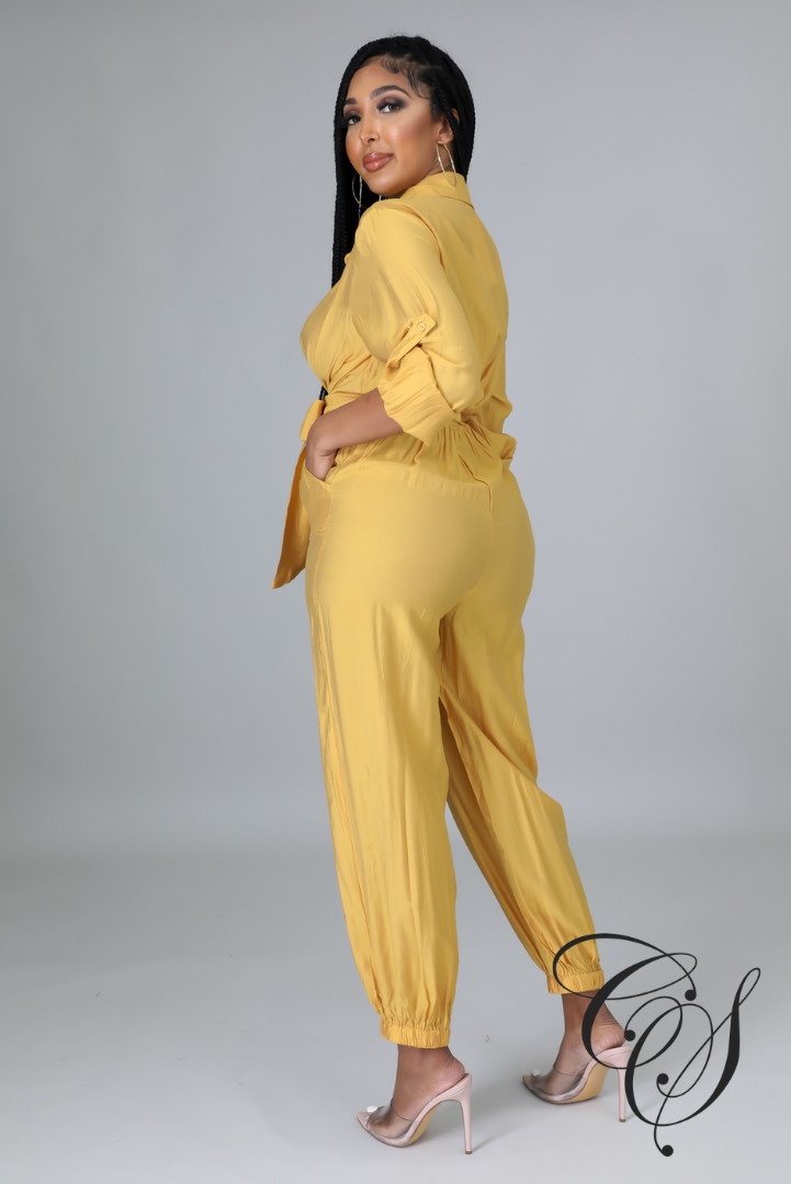 Colette Button Down Criss Cross Belted Tie Jumpsuit