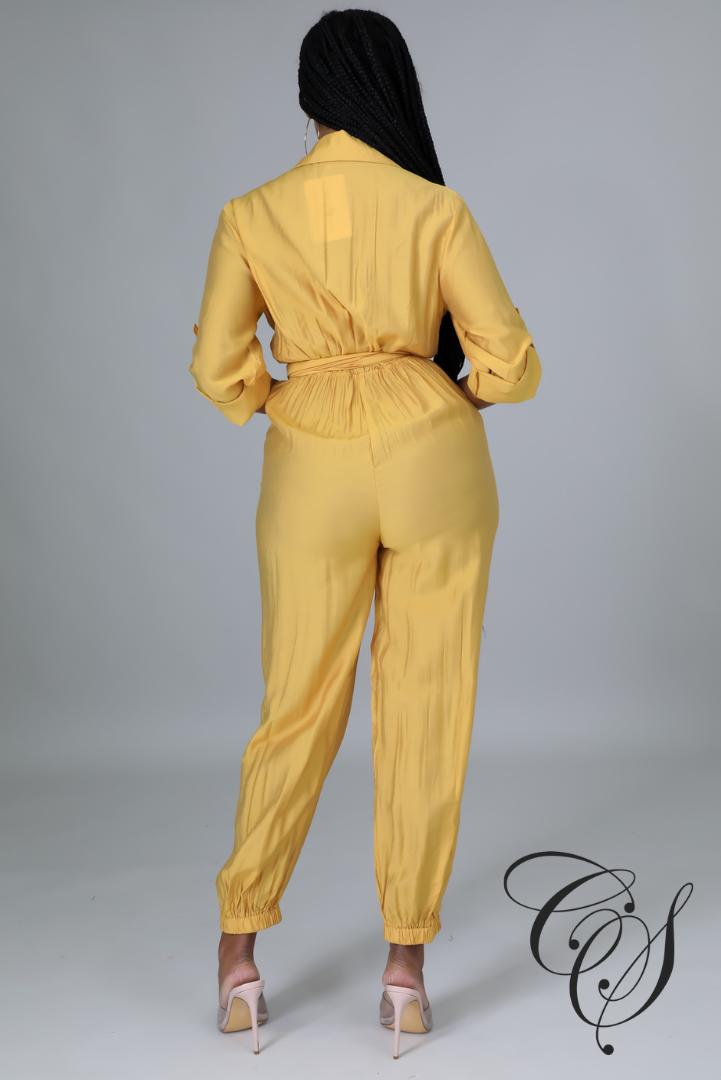 Colette Button Down Criss Cross Belted Tie Jumpsuit