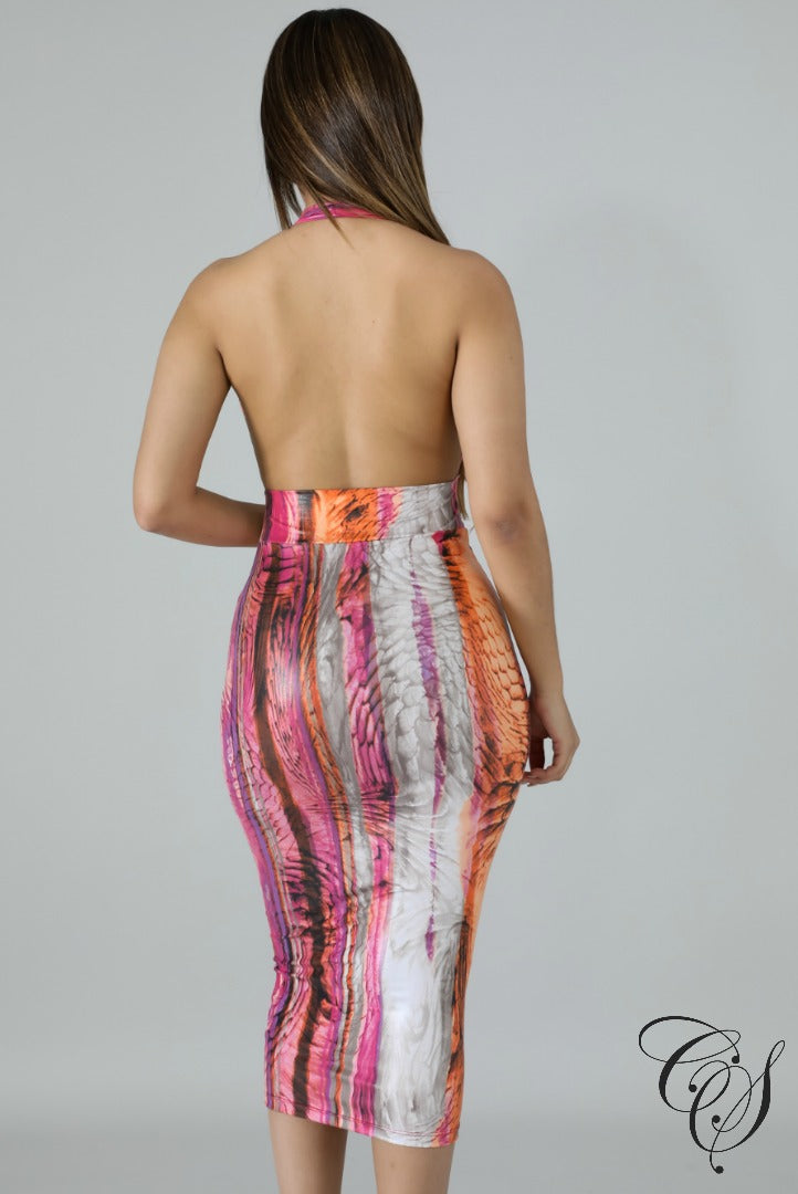Conna Spicy Bodycon Dress, Dresses - Designs By Cece Symoné
