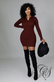 Coraline Long Sleeve Ribbed Knitted Bodycon Mini Dress