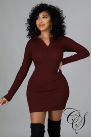 Coraline Long Sleeve Ribbed Knitted Bodycon Mini Dress