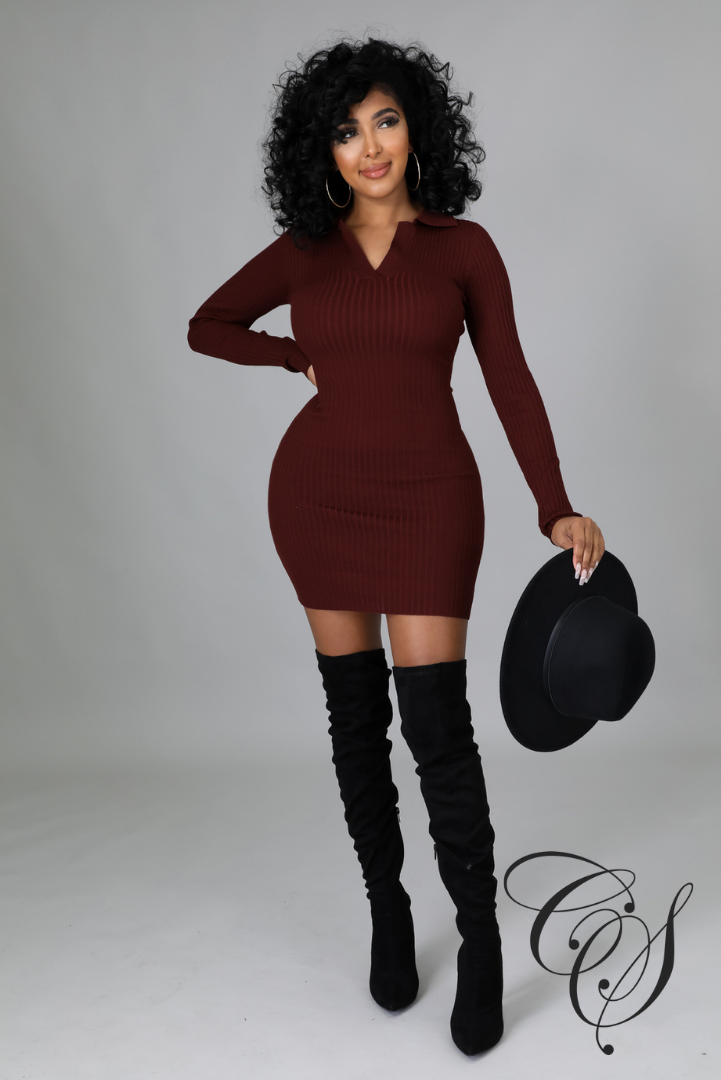 Coraline Long Sleeve Ribbed Knitted Bodycon Mini Dress