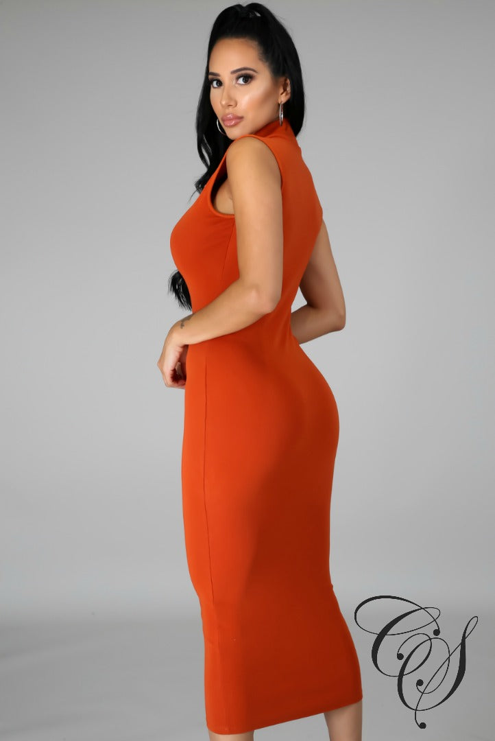 Danielle Sleeveless Mock Neck Dress