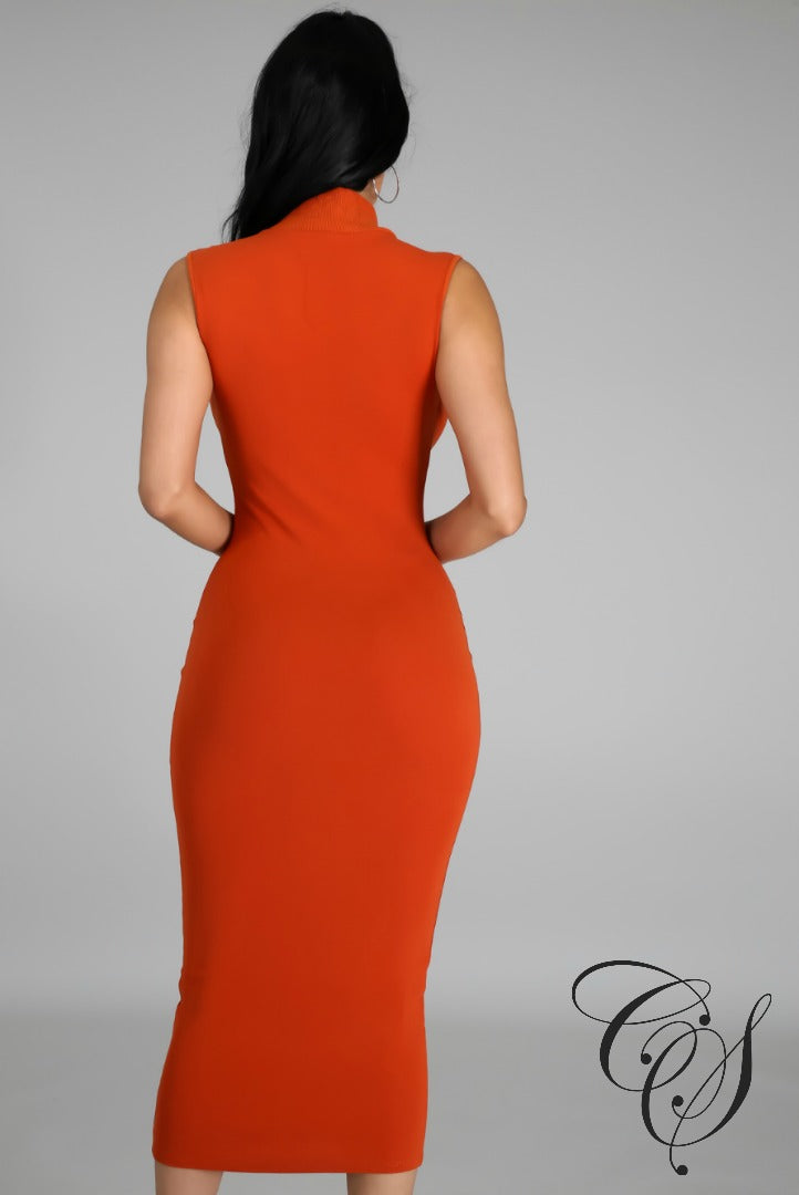 Danielle Sleeveless Mock Neck Dress