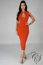 Danielle Sleeveless Mock Neck Dress