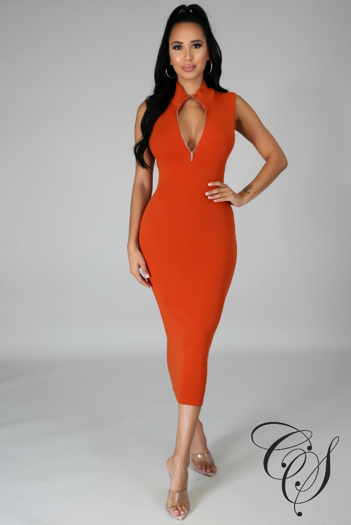 Danielle Sleeveless Mock Neck Dress