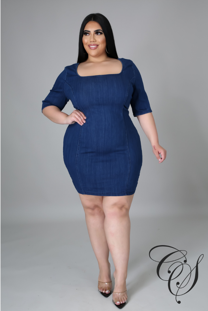 Delania Denim Bodycon Dress