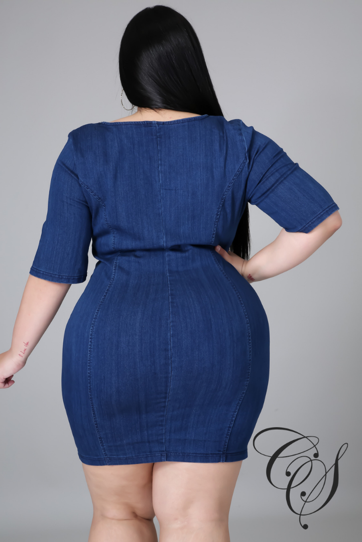 Delania Denim Bodycon Dress