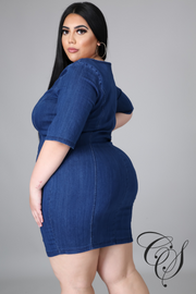 Delania Denim Bodycon Dress