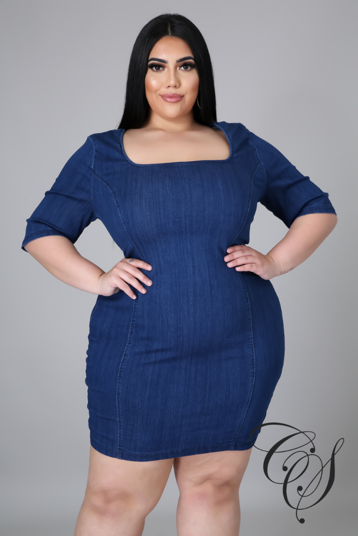 Delania Denim Bodycon Dress