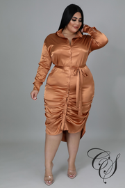 Dionne Satin Ruched Shirt Dress