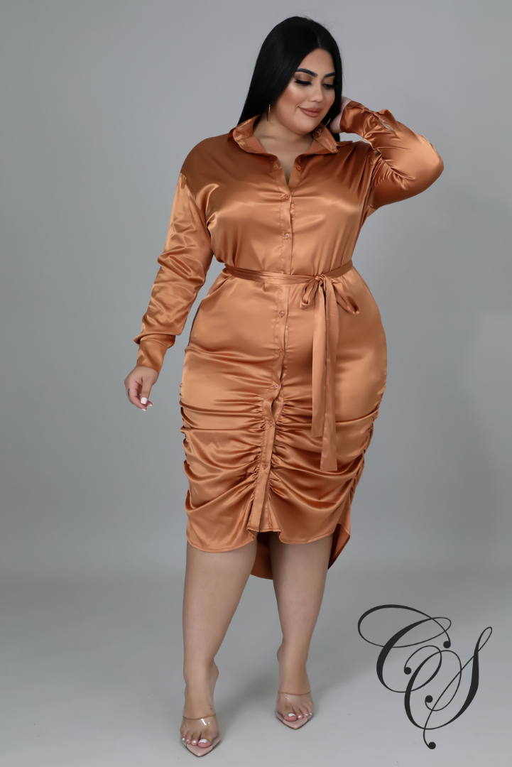 Dionne Satin Ruched Shirt Dress