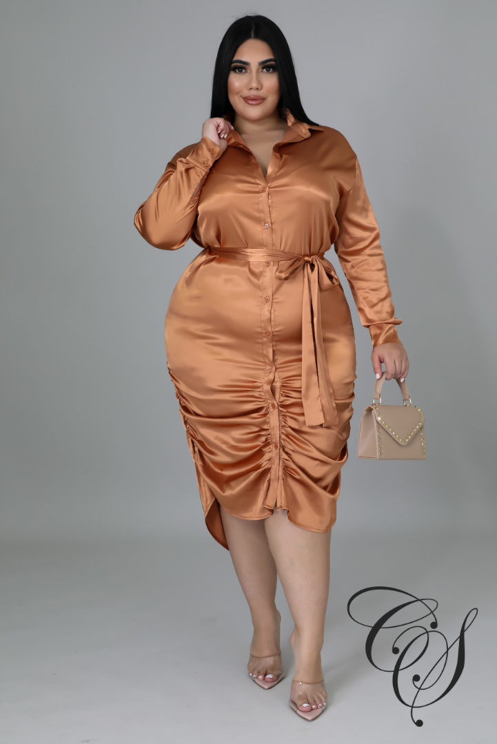 Dionne Satin Ruched Shirt Dress