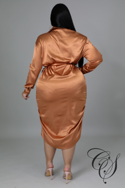 Dionne Satin Ruched Shirt Dress