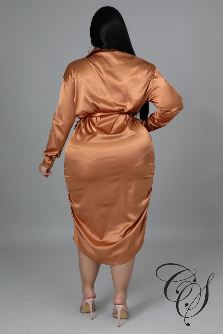 Dionne Satin Ruched Shirt Dress