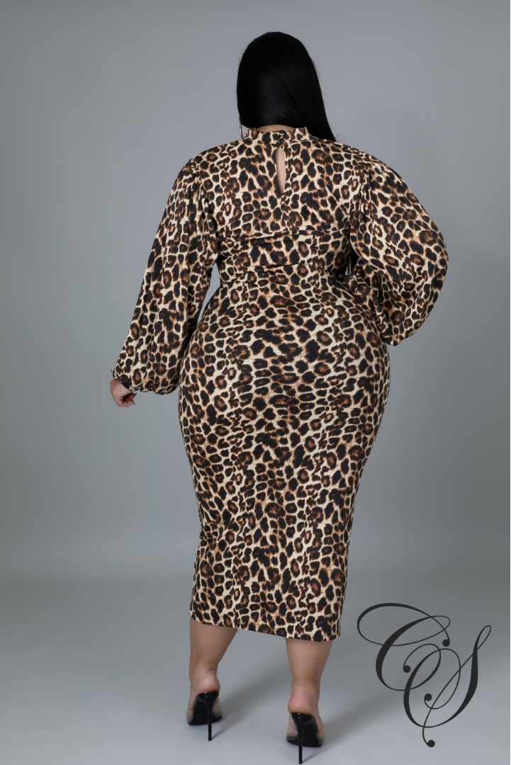 Donda Animal Print Dress Set