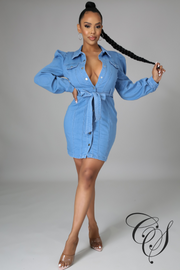 Elayna Denim Dress