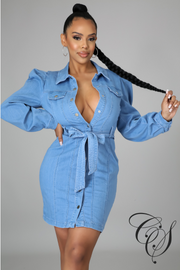 Elayna Denim Dress