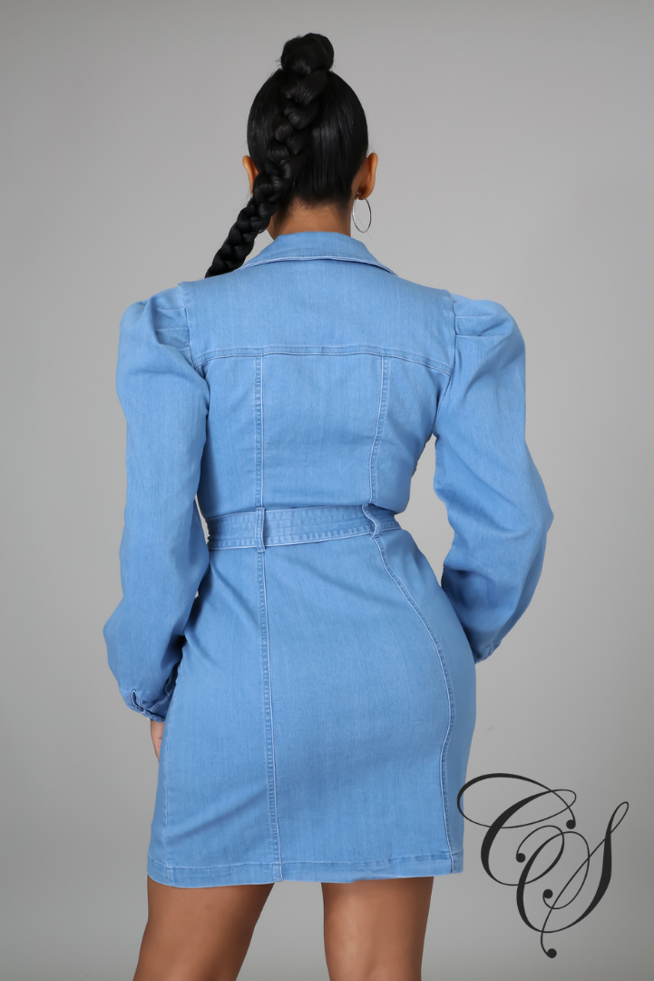 Elayna Denim Dress