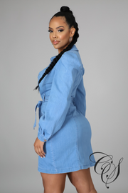 Elayna Denim Dress