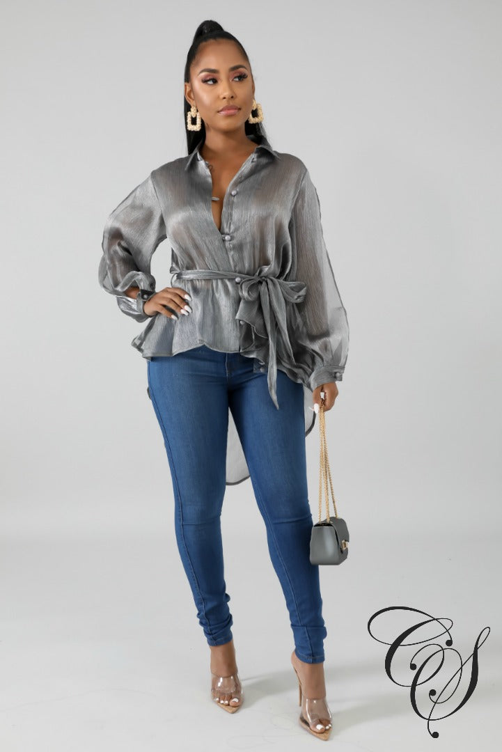 Eliana Shine Sheer Blouse, Top - Designs By Cece Symoné