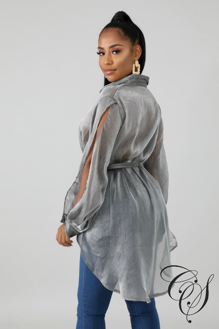 Eliana Shine Sheer Blouse, Top - Designs By Cece Symoné